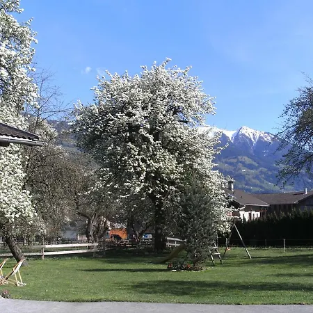 Prollerhof Feriegård Schlitters